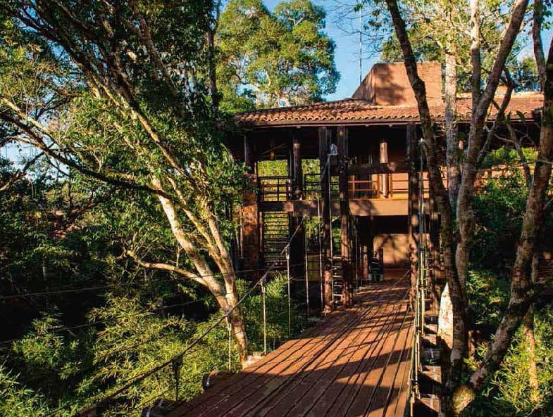 Relax en la selva