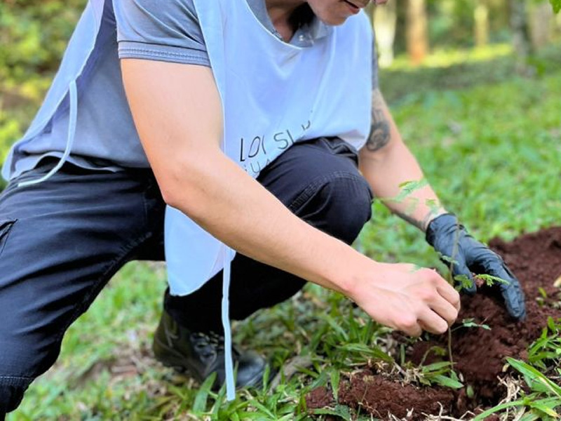 Compromiso sustentable de Loi Suites con el entorno natural