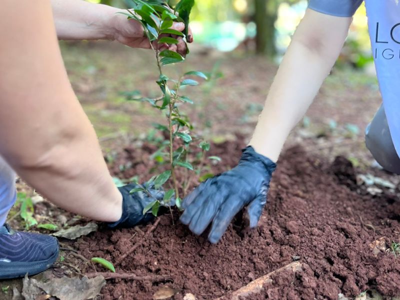 Experiencia sustentable en Loi Suites Hoteles